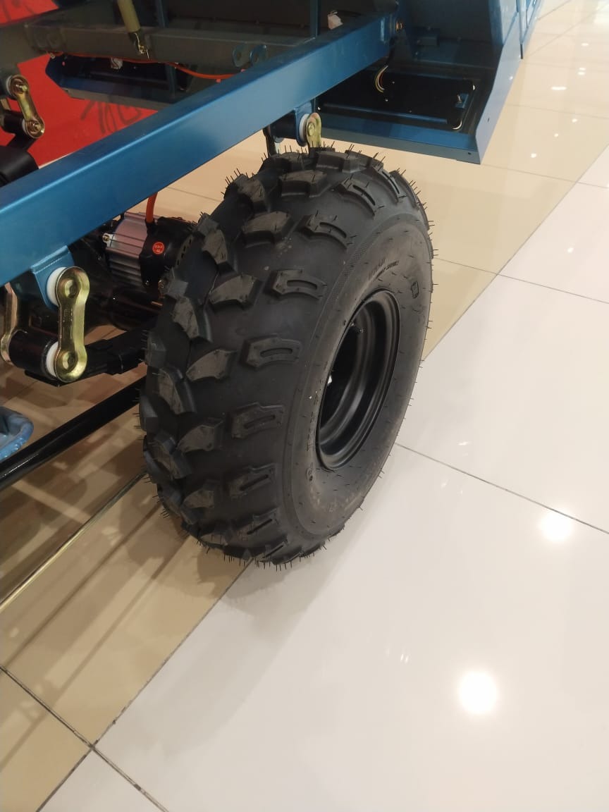 Electric Cargo E Rickshaw Loader, 1.6m, 60V, 20A, Blue