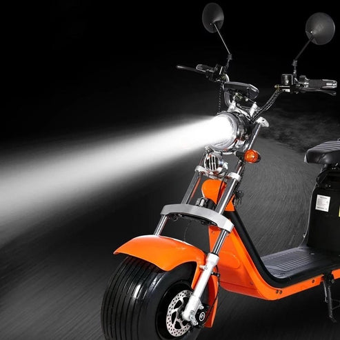 1500W Harley Electric motorcycle Double Seat with double battery Fat Tire - COOLBABY