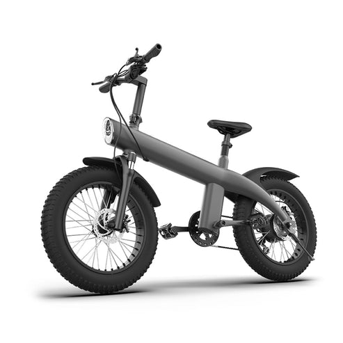 Aluminum Alloy E-Bike, 20 Inch Fat Tire, Off Road, Electric Bike Scooter - COOLBABY