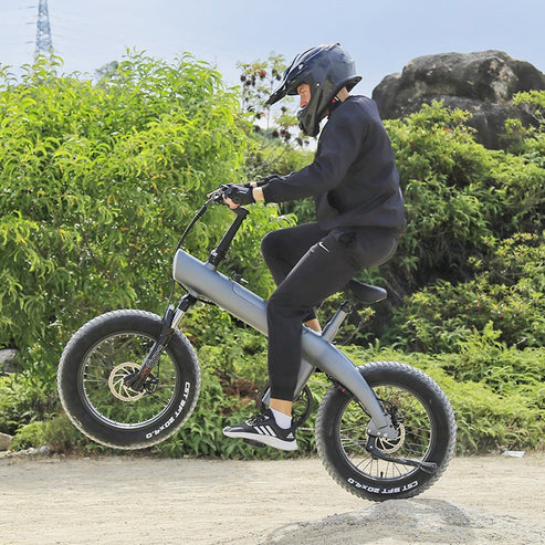 Aluminum Alloy E-Bike, 20 Inch Fat Tire, Off Road, Electric Bike Scooter - COOLBABY