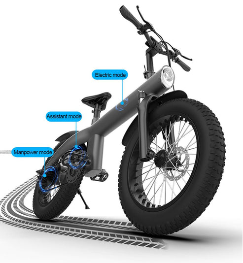 Aluminum Alloy E-Bike, 20 Inch Fat Tire, Off Road, Electric Bike Scooter - COOLBABY