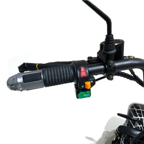 BIG HARLEY, LI-ion battery, BT, double seat Electric motorcycle - COOLBABY