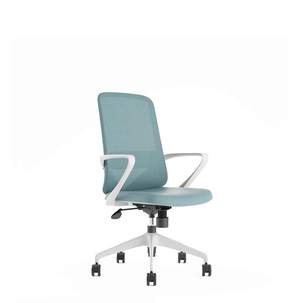 COOLBABY Ergonomic Office Chair with Lumbar Support, Fixed Armrest, and White Nylon Castors - COOLBABY
