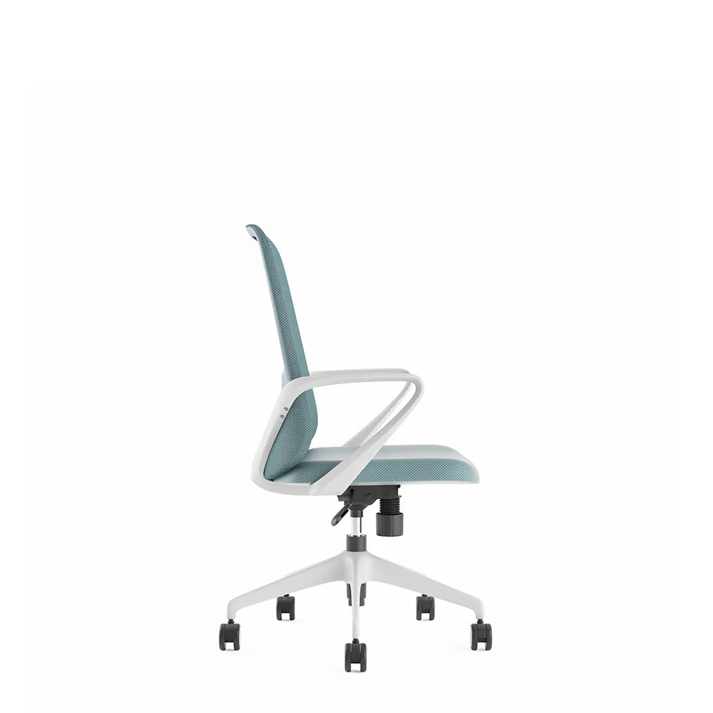 COOLBABY Ergonomic Office Chair with Lumbar Support, Fixed Armrest, and White Nylon Castors - COOLBABY