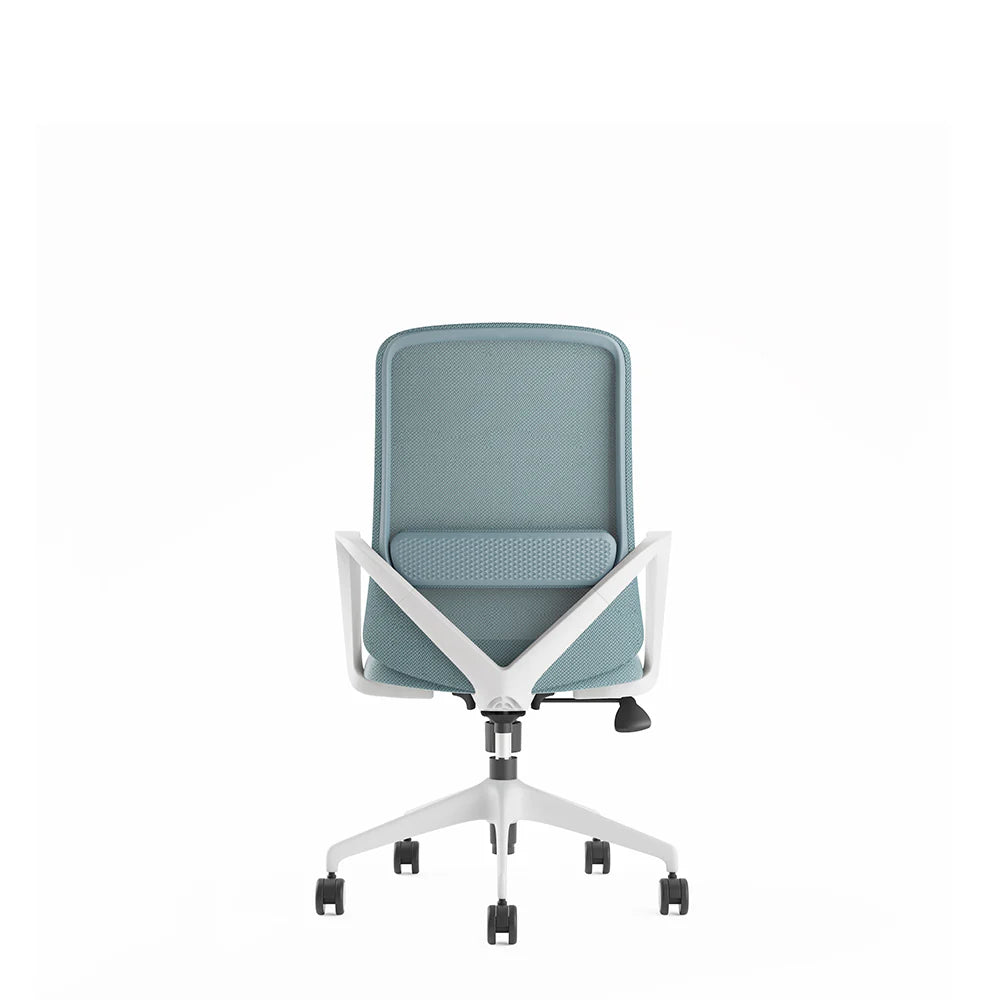 COOLBABY Ergonomic Office Chair with Lumbar Support, Fixed Armrest, and White Nylon Castors - COOLBABY