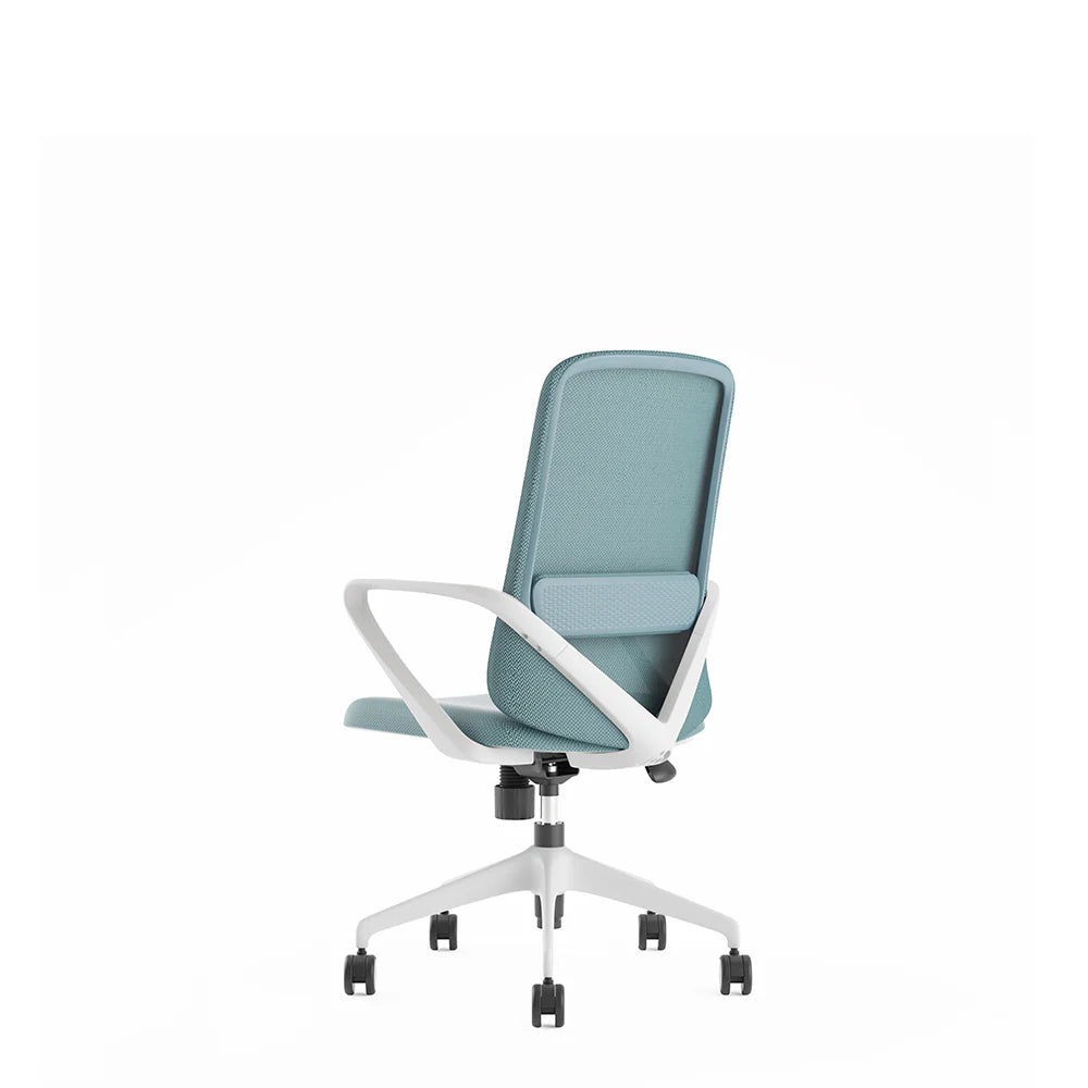 COOLBABY Ergonomic Office Chair with Lumbar Support, Fixed Armrest, and White Nylon Castors - COOLBABY
