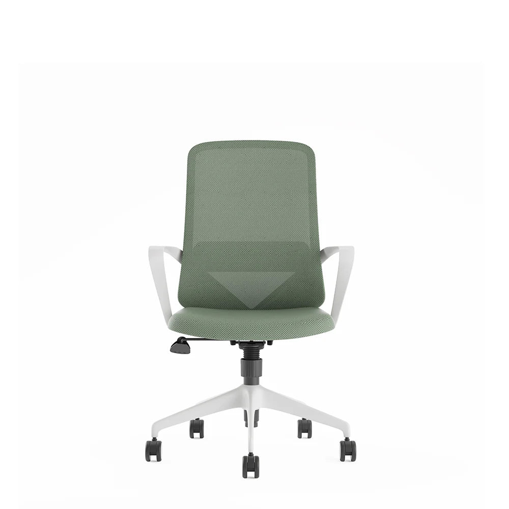 Ergonomic Office Chair with Lumbar Support, Light Grey & Green Design, Fixed Armrests - COOLBABY