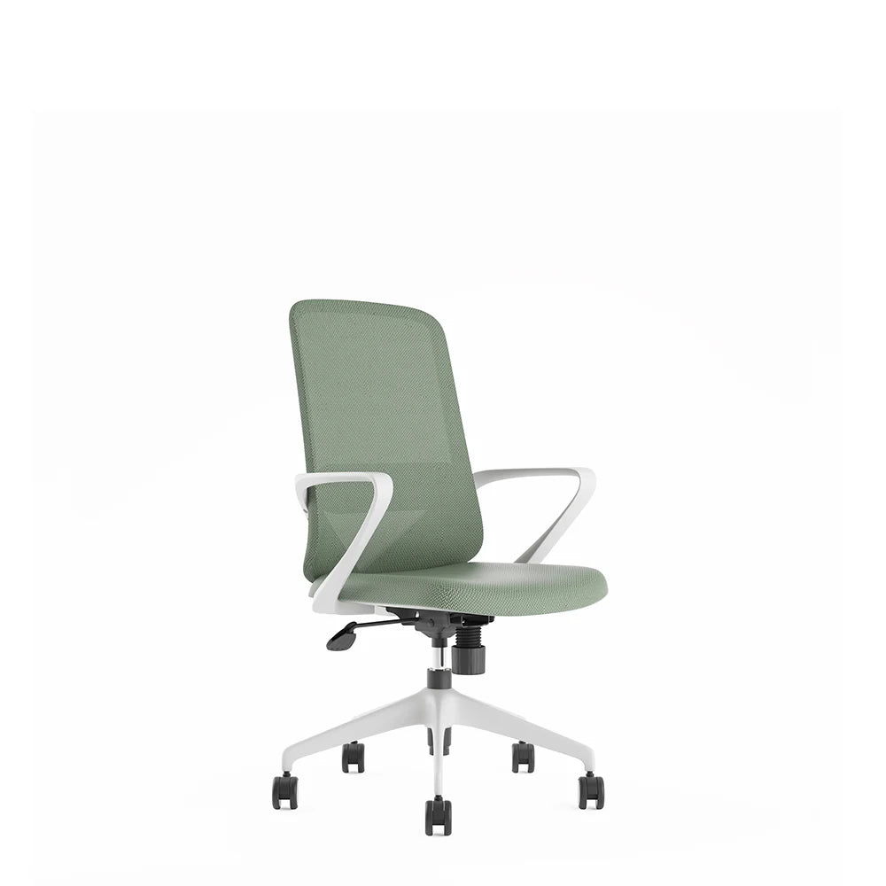 Ergonomic Office Chair with Lumbar Support, Light Grey & Green Design, Fixed Armrests - COOLBABY
