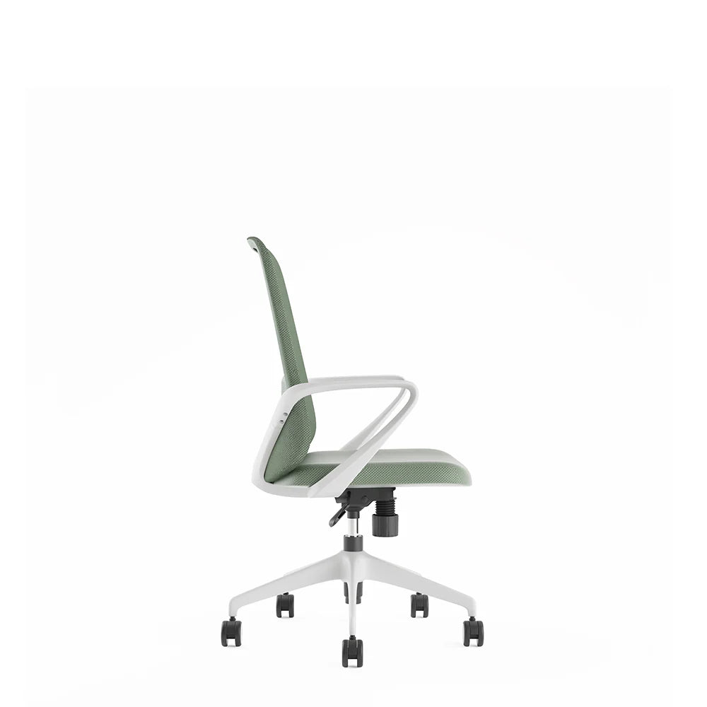 Ergonomic Office Chair with Lumbar Support, Light Grey & Green Design, Fixed Armrests - COOLBABY