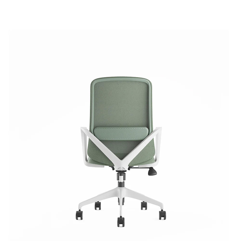 Ergonomic Office Chair with Lumbar Support, Light Grey & Green Design, Fixed Armrests - COOLBABY