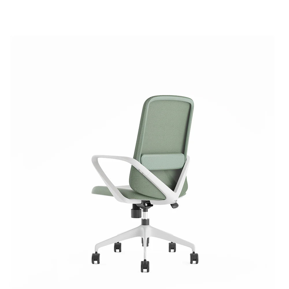 Ergonomic Office Chair with Lumbar Support, Light Grey & Green Design, Fixed Armrests - COOLBABY