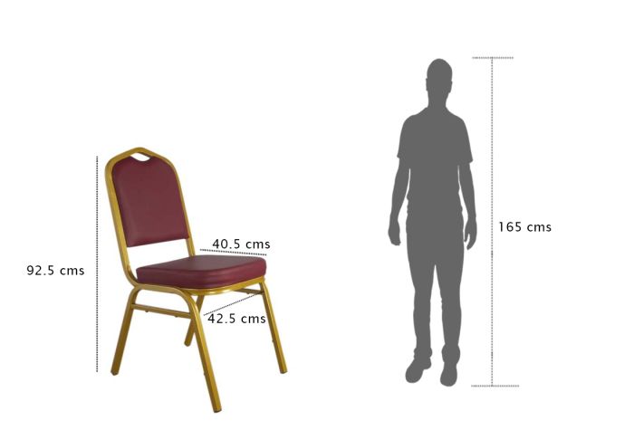 Banquet Chair, Strong on Looks and Comfort - COOLBABY