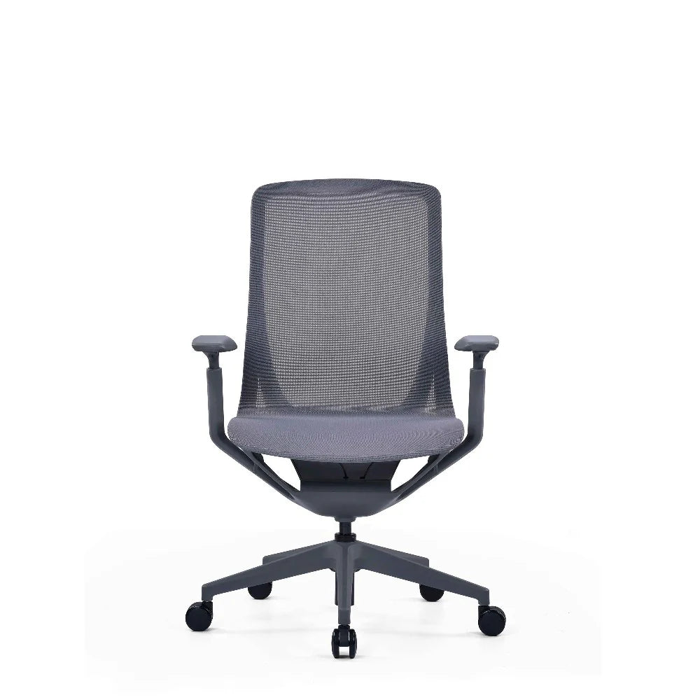 COOLBABY RILEY Ergonomic Office Chair with Adjustable 3D Armrests and Breathable Mesh Backrest - COOLBABY