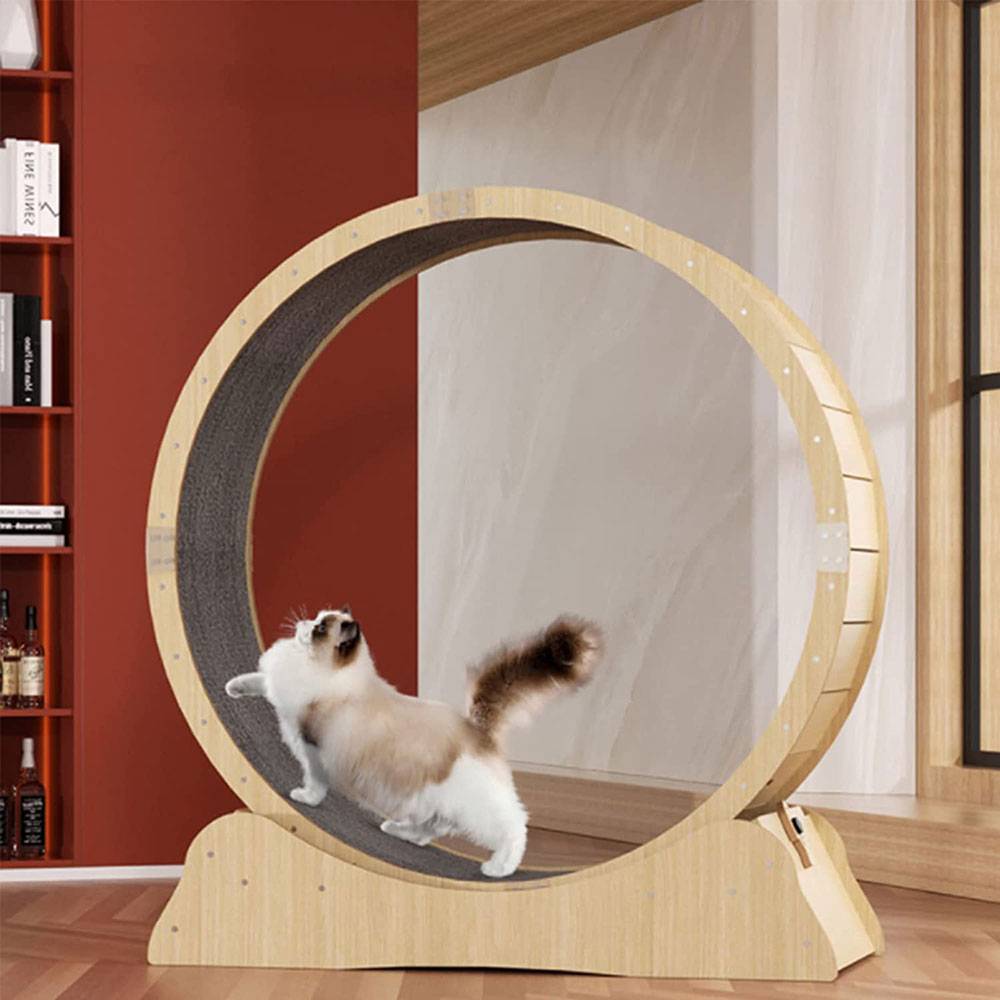 Whisker Workouts: The Ultimate Cat Wheel for Active Felines! - COOLBABY