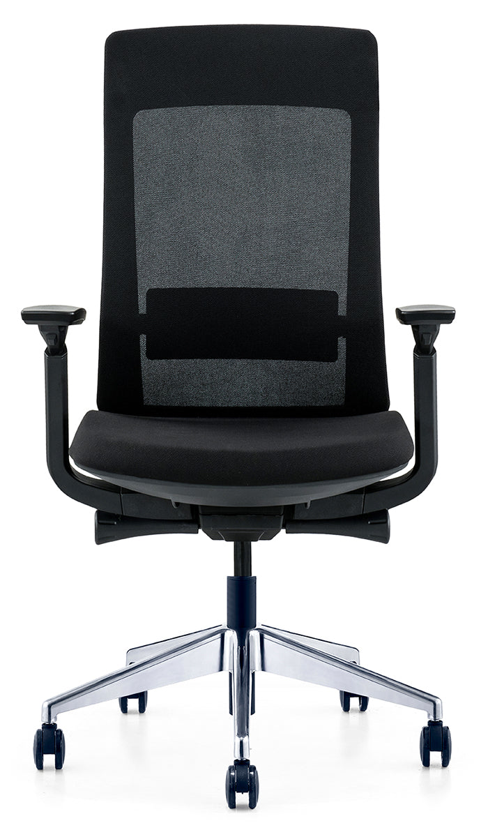 High Back Multifunction Ergonomic Office Chair, Adjustable Headrest, Lumbar Support