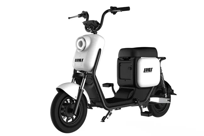 Powerful Two Wheel, Lithium Battery, Electric Scooter Electrical Motorcycle - COOLBABY