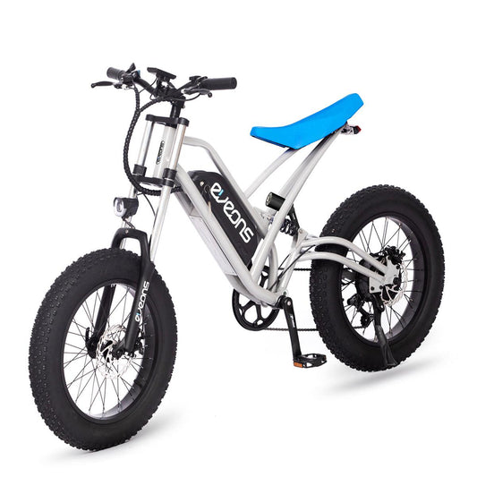 BlueBee II Electric Bike Upgraded Features for Enhanced Performance - COOLBABY