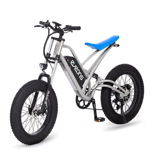 Bluebee Bike Your Ultimate Electric Mobility Solution - COOLBABY