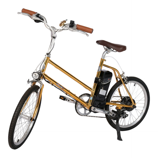 Chenxn Electric Bicycle With Pedal & Light, 350W - COOLBABY