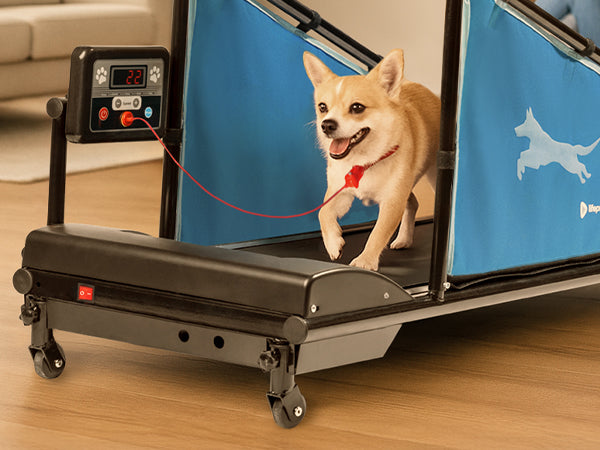 PawRunner Dog Treadmill – Indoor Dog Running Machine for Small & Medium Dogs up to 130 lbs, Quiet Pet Treadmill with Remote Control & Safety Features