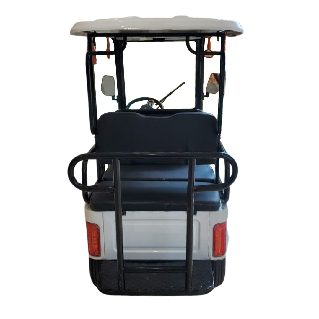 FA4+2 Cruise Master 600x 6 passenger Golf Cart - COOLBABY