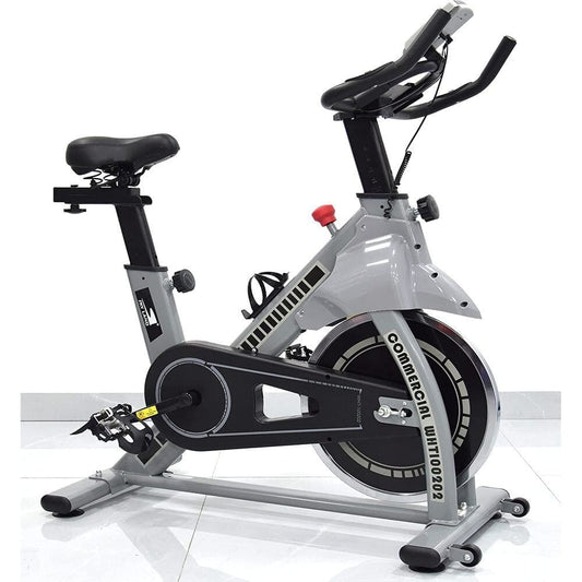 Skyland Fitness Exercise Spin Bike For Home, EM-1560 - COOL BABY