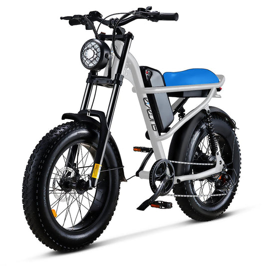 Bluebee III Unleash Your Inner Explorer with the Ultimate All-Terrain E-Bike Adventure - COOLBABY