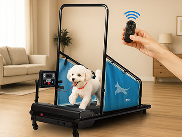 PawRunner Dog Treadmill – Indoor Dog Running Machine for Small & Medium Dogs up to 130 lbs, Quiet Pet Treadmill with Remote Control & Safety Features