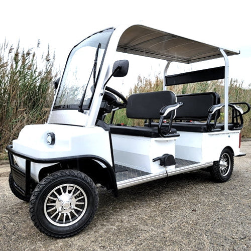 COOLBABY BG-06 Stylish 6-Seater Electric Golf Cart Buggy with 60V Power - COOLBABY