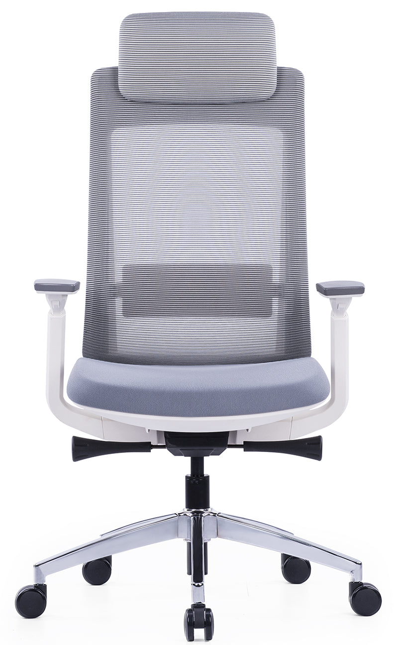 High Back Multifunction Ergonomic Office Chair, Adjustable Headrest, Lumbar Support