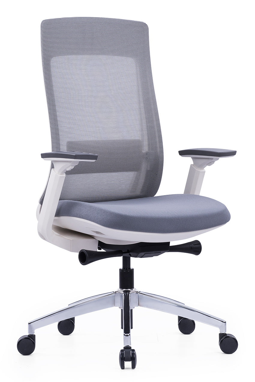 High Back Multifunction Ergonomic Office Chair, Adjustable Headrest, Lumbar Support