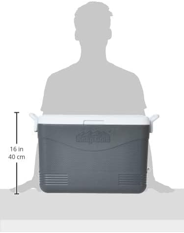 46L Plastic Picnic Cooler Icebox Cool Grey – Portable Insulated Cooler with 3-Day Ice Retention