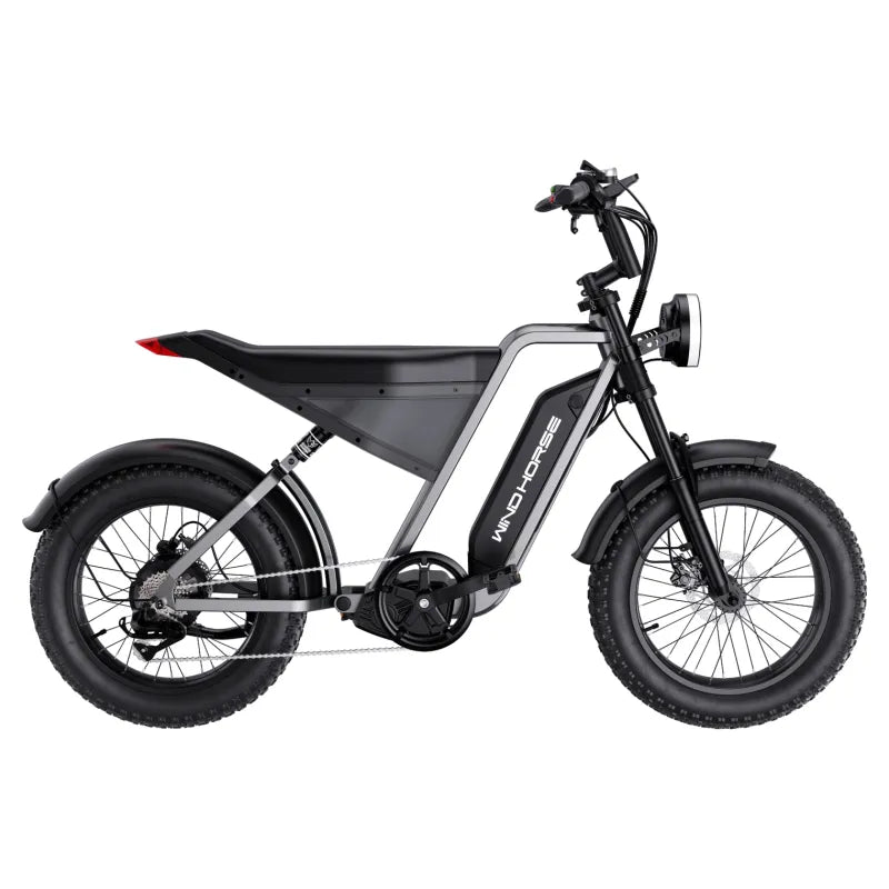 Electric Bicycle for Adults, 1000W Off-Road Dirt Electric Mountain Bike - COOLBABY