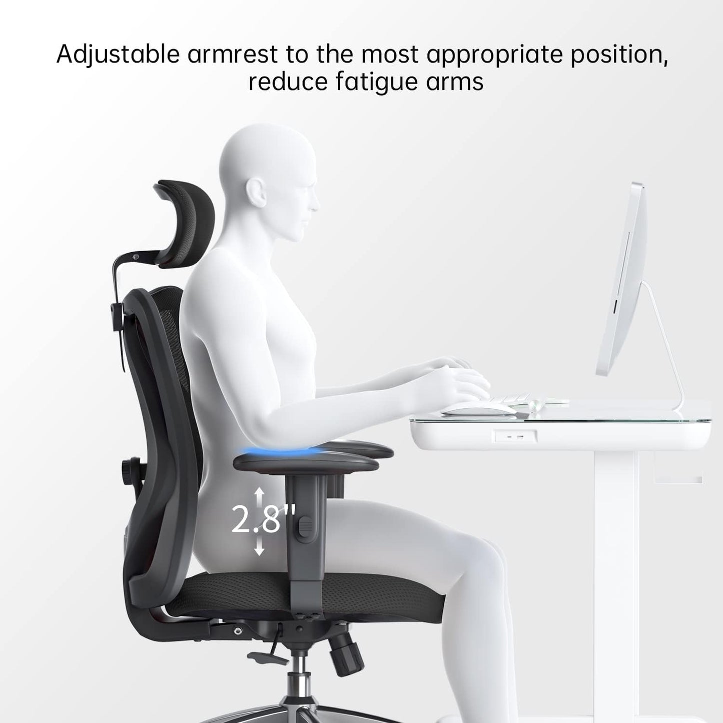 Ergonomic Office Chair, Computer High Back Desk Chair with 2D Armrest, Adjustable Headrest, Lumbar Support and Cushion