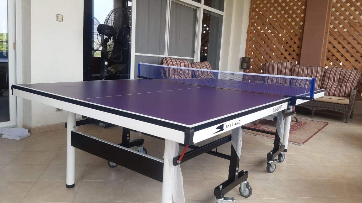 Tennis Table Professional Size, Foldable Tennis Table, Movable Table - COOLBABY