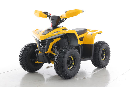 Sharmax Cross E 200 Electric Youth ATV - Eco-Friendly 750W Motor - COOLBABY