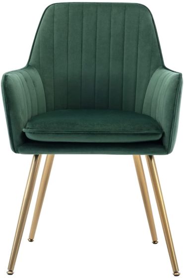 Velvet Dining Chair with Golden Metal Legs - COOLBABY