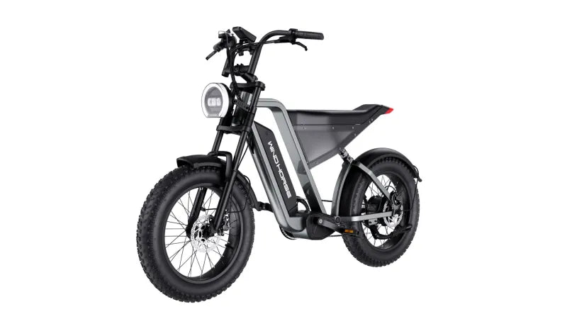 Electric Bicycle for Adults, 1000W Off-Road Dirt Electric Mountain Bike - COOLBABY