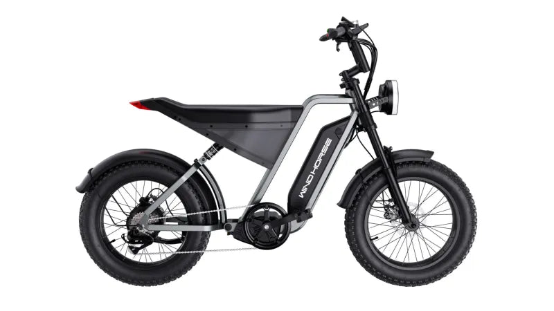 Electric Bicycle for Adults, 1000W Off-Road Dirt Electric Mountain Bike - COOLBABY