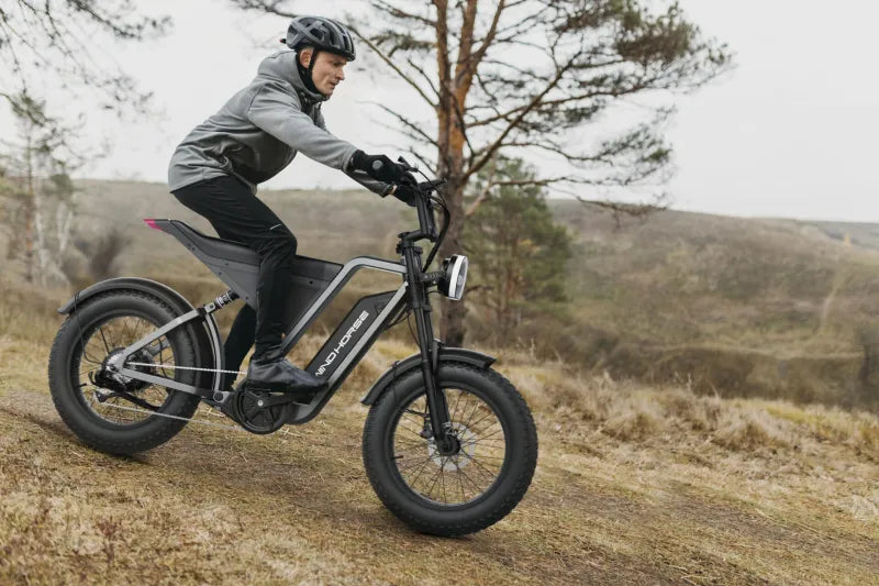 Electric Bicycle for Adults, 1000W Off-Road Dirt Electric Mountain Bike