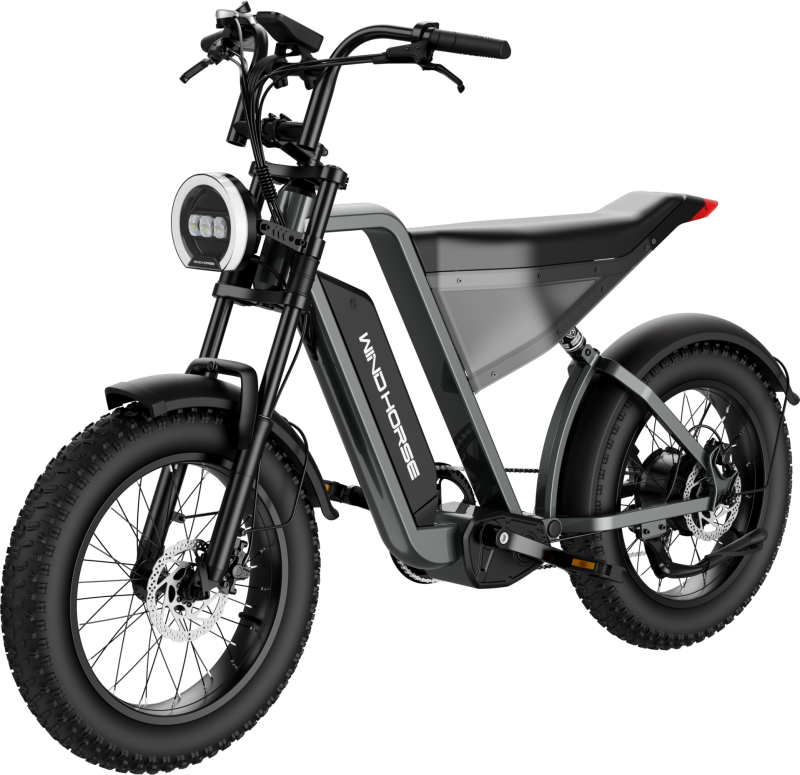 Electric Bicycle for Adults, 1000W Off-Road Dirt Electric Mountain Bike - COOLBABY