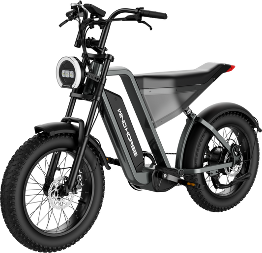 Electric Bicycle for Adults, 1000W Off-Road Dirt Electric Mountain Bike - COOLBABY