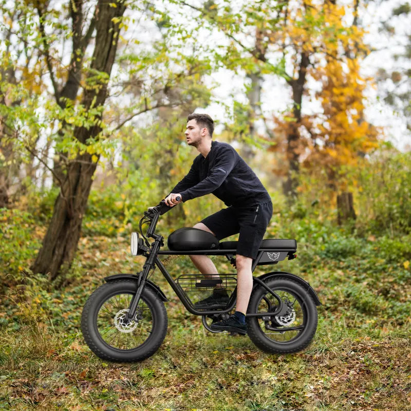 Powerful Electric Bike, 1000W Electric Bike - COOLBABY