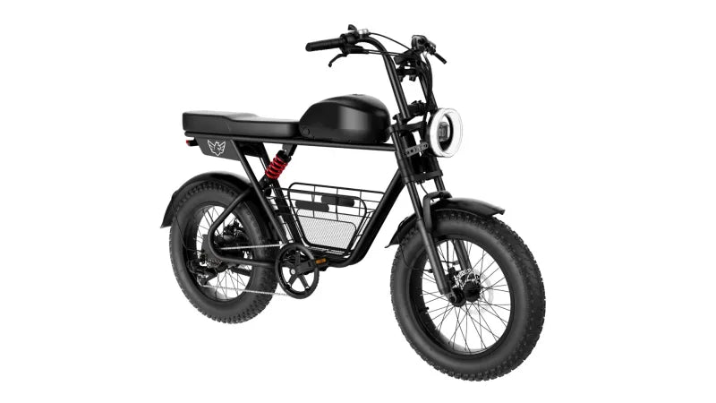 Powerful Electric Bike, 1000W Electric Bike - COOLBABY