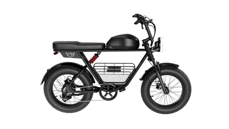 Powerful Electric Bike, 1000W Electric Bike