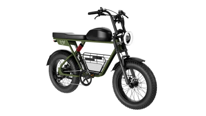 Powerful Electric Bike, 1000W Electric Bike - COOLBABY