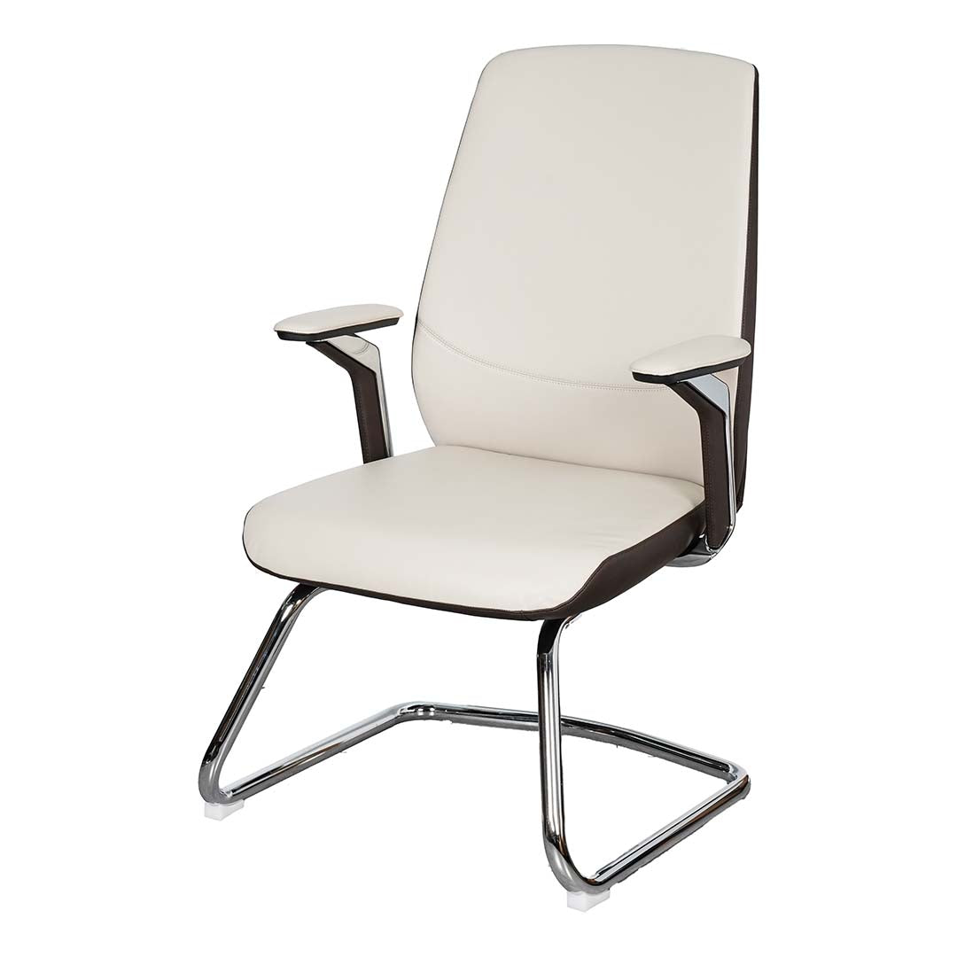 COOLBABY Ergonomic High Back Office Visitor Chair GW-1802-C with Lumbar Support - COOLBABY