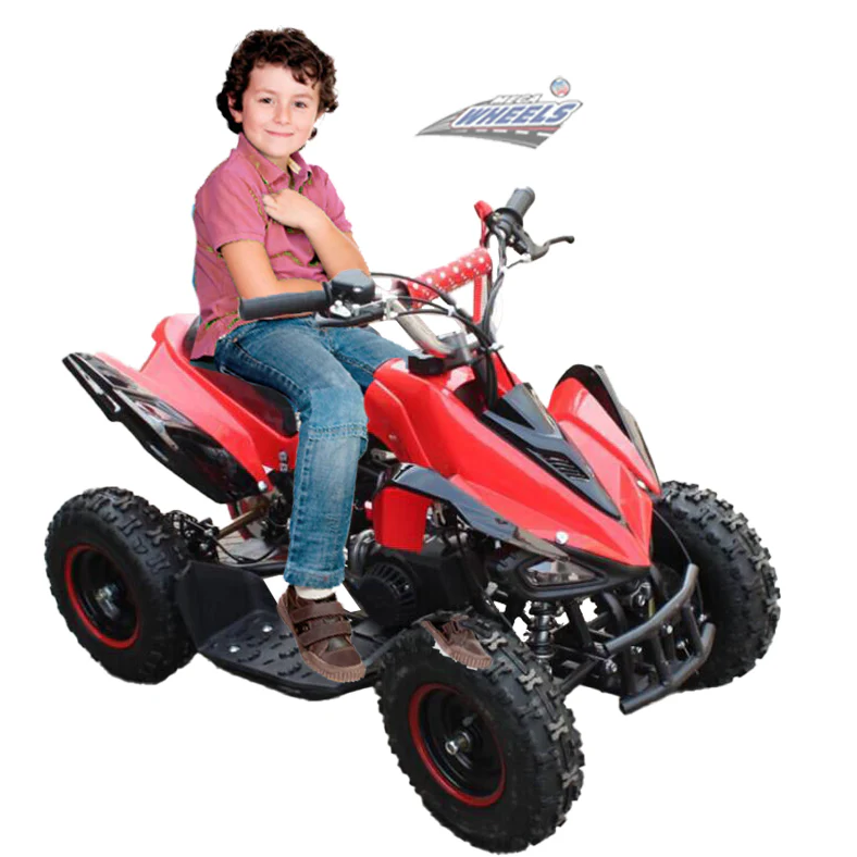 ATV Mini Quad Kids Electric Ride On 36V - COOLBABY