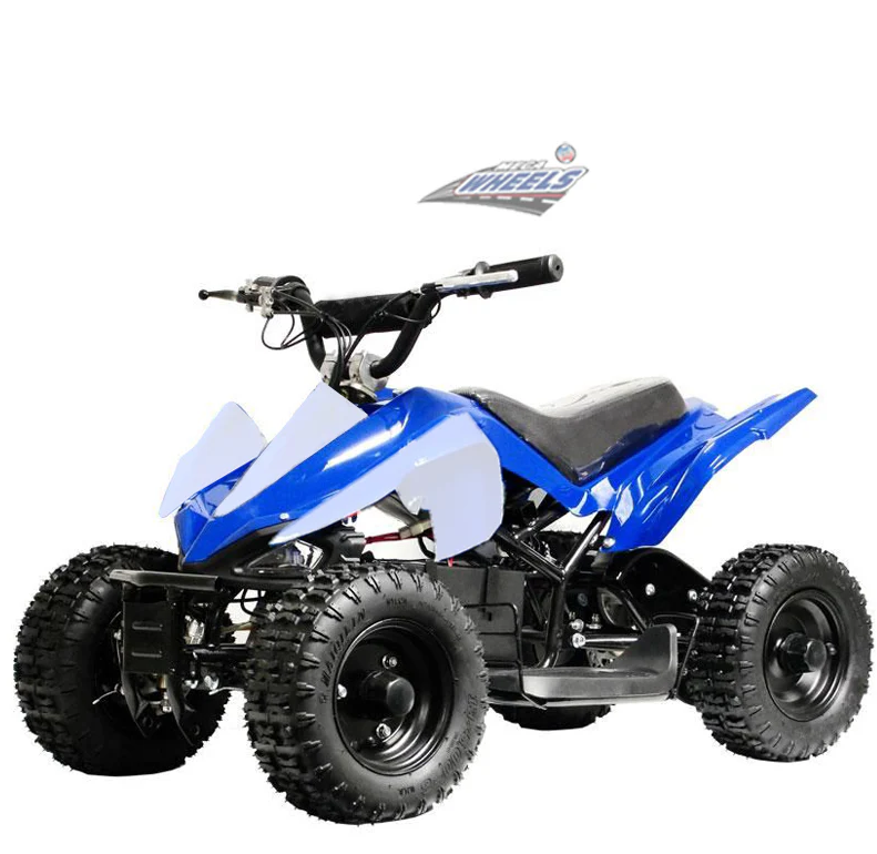 ATV Mini Quad Kids Electric Ride On 36V - COOLBABY