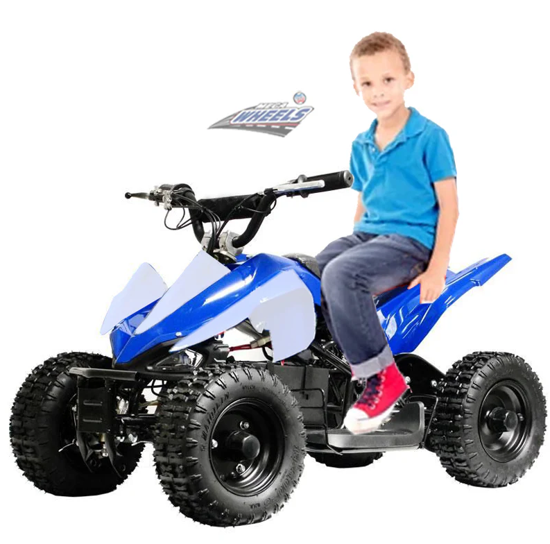 ATV Mini Quad Kids Electric Ride On 36V - COOLBABY